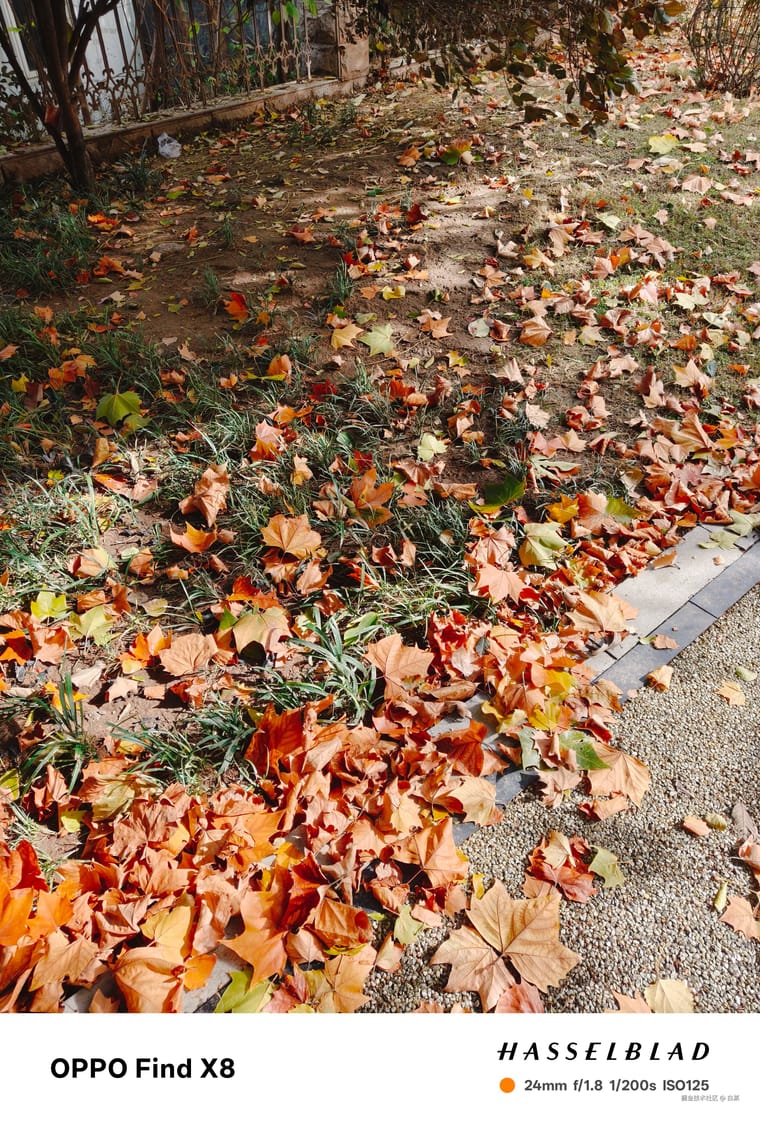 1879b7a1-5a40-4697-a788-e32cdd3141be-1.jpg