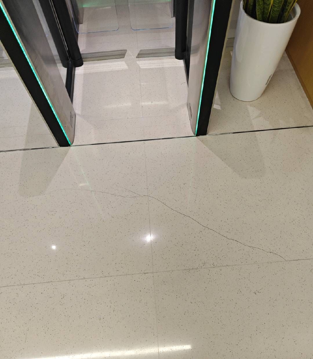 20241204-175516.jpg