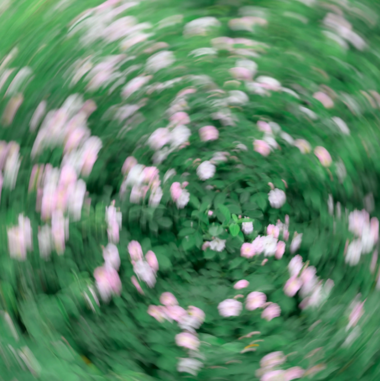 4180d443-924a-4546-a65f-4aa063967d89-image.png