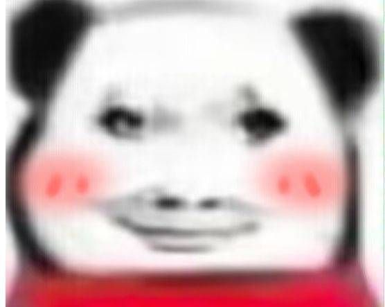 image.jpg