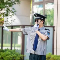 小镇A1保安队长